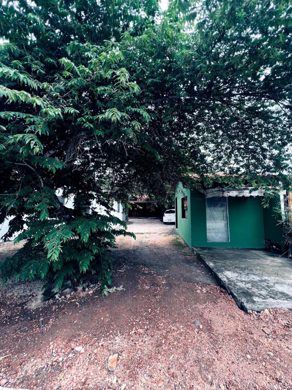 Casa Tamboril Apartamento São Jorge Exterior foto